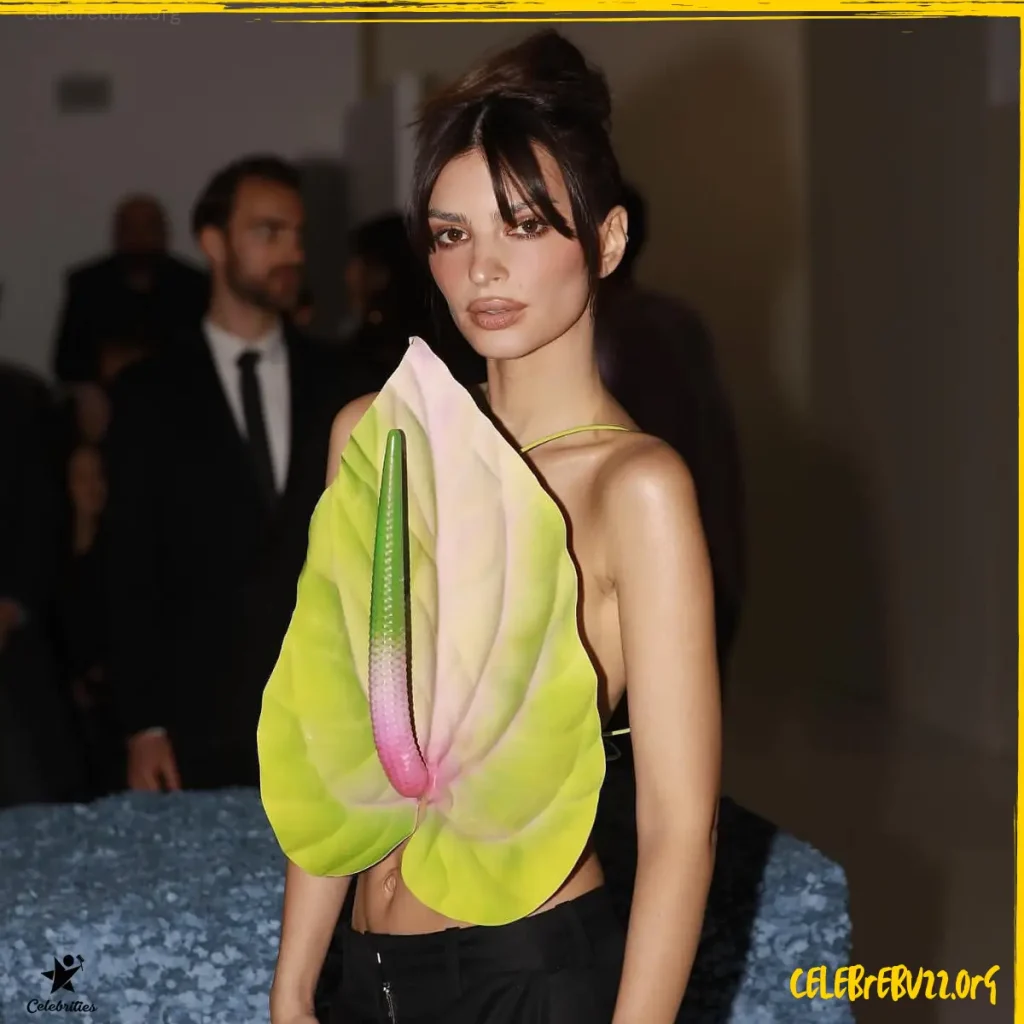 Emily Ratajkowski Vie Privée