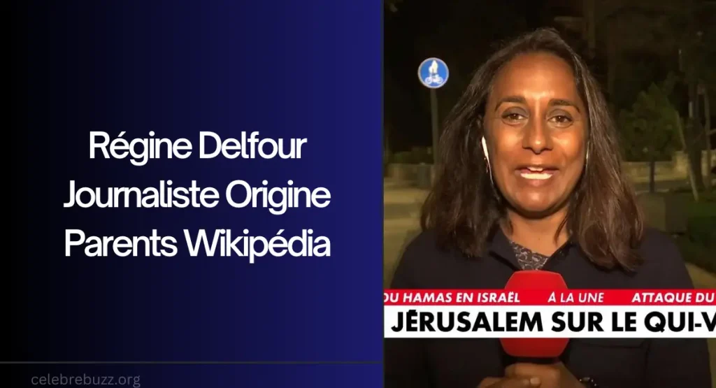 Régine Delfour Journaliste Origine Parents Wikipédia